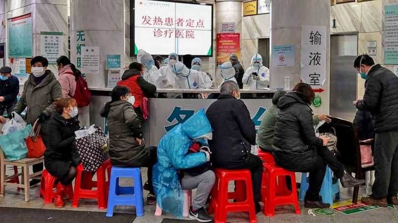 假性怀孕现象解析及其对生育的影响